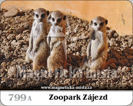 Magnetka - Zoopark Zájezd